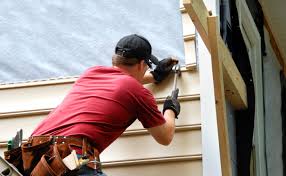 Best Custom Siding Design  in Coal City, WV